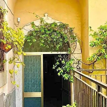 Old Town Nest In *
